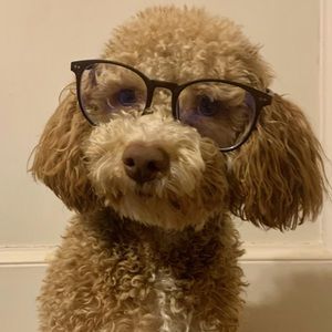 Meet your Posher, Sabryna